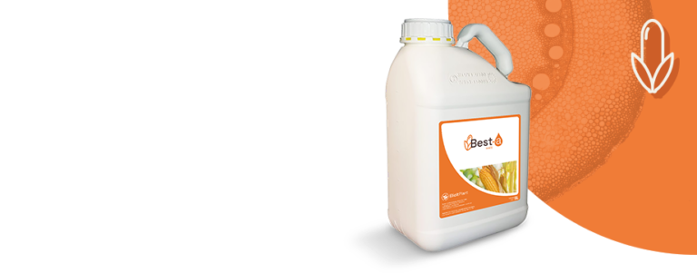 BEST-a Category Photo