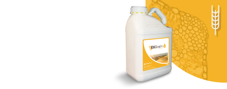 EliGrain-a Category photo