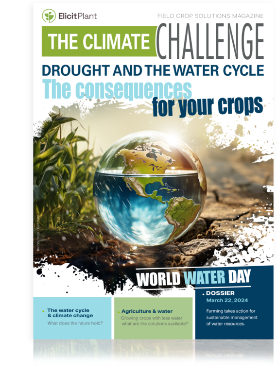 Download magazine drought and the water cycle the consequences for your crops
