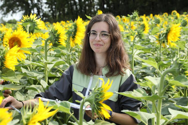 Agronomist in a bush field
