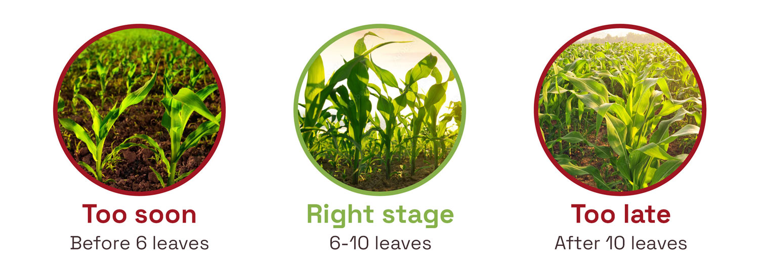 Find the right application stage of the Best-a