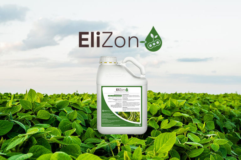 EliZon launch Brazil 2024