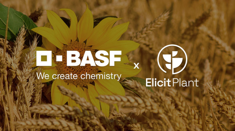 BASF and Elicit Plant Partner to Promote New Bio-Solutions in the Sunflower and Cereal Markets in France