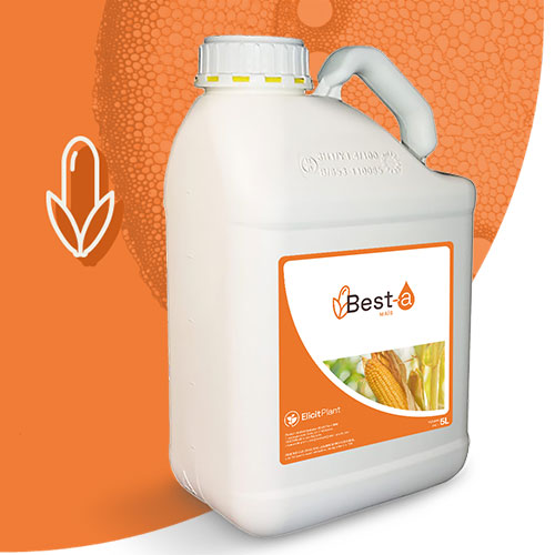 Best-a corn