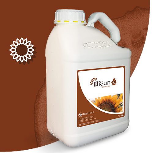 EliSun-a Sunflower