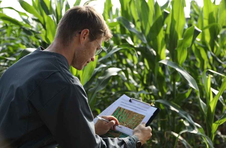 Elicit Plant Experimentation en plein champ