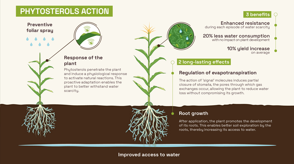 The power of phytosterols