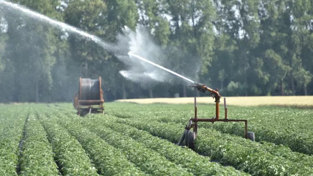 Top Agrar German - Winning the competition Start-up can reduce water consumption of crops