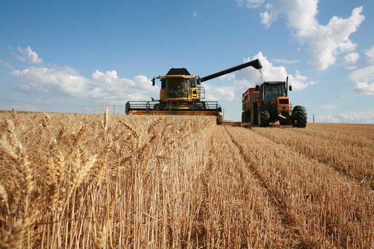 Trials in 2023/2024 show that EliGrain-a improves yields and boosts crop resilience to unpredictable weather conditions, providing an effective solution to today’s agricultural challenges.